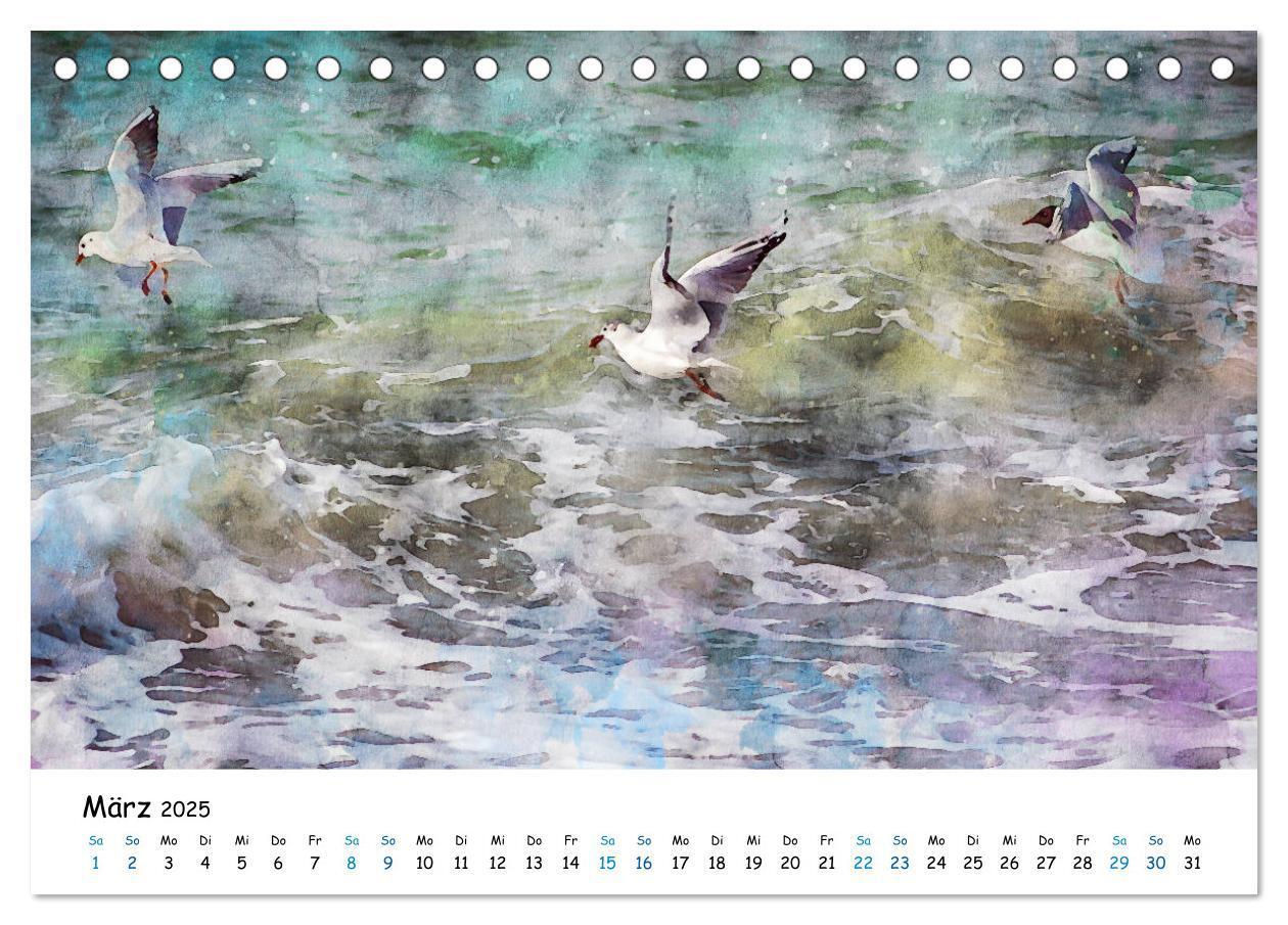 Bild: 9783435143979 | Aquarell Illustrationen vom Darß (Tischkalender 2025 DIN A5 quer),...