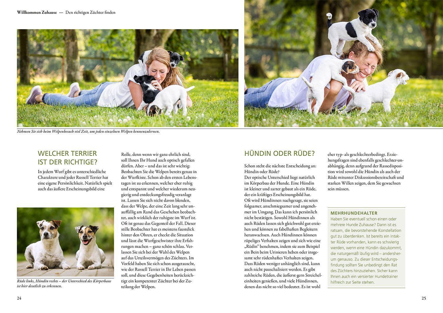 Bild: 9783440149744 | Parson und Jack Russell Terrier | Petra Hagemeier | Taschenbuch | 2022