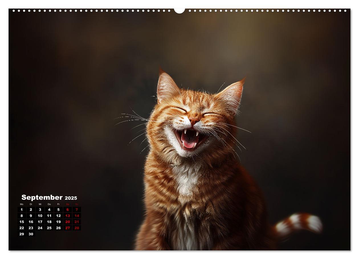 Bild: 9783457202128 | Auch Katzen lachen gern (hochwertiger Premium Wandkalender 2025 DIN...