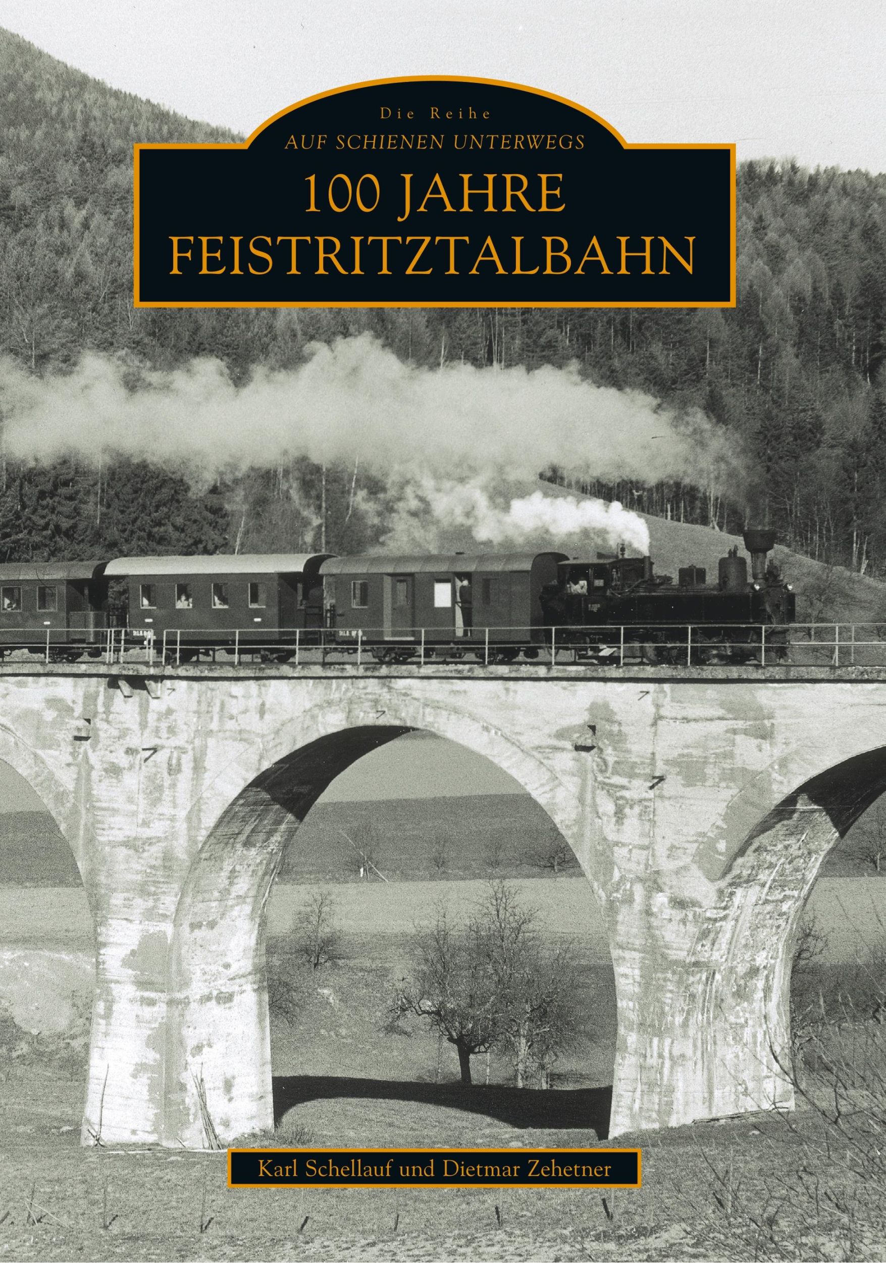 Cover: 9783866808393 | 100 Jahre Feistritztalbahn | Karl Schellauf | Taschenbuch | Paperback