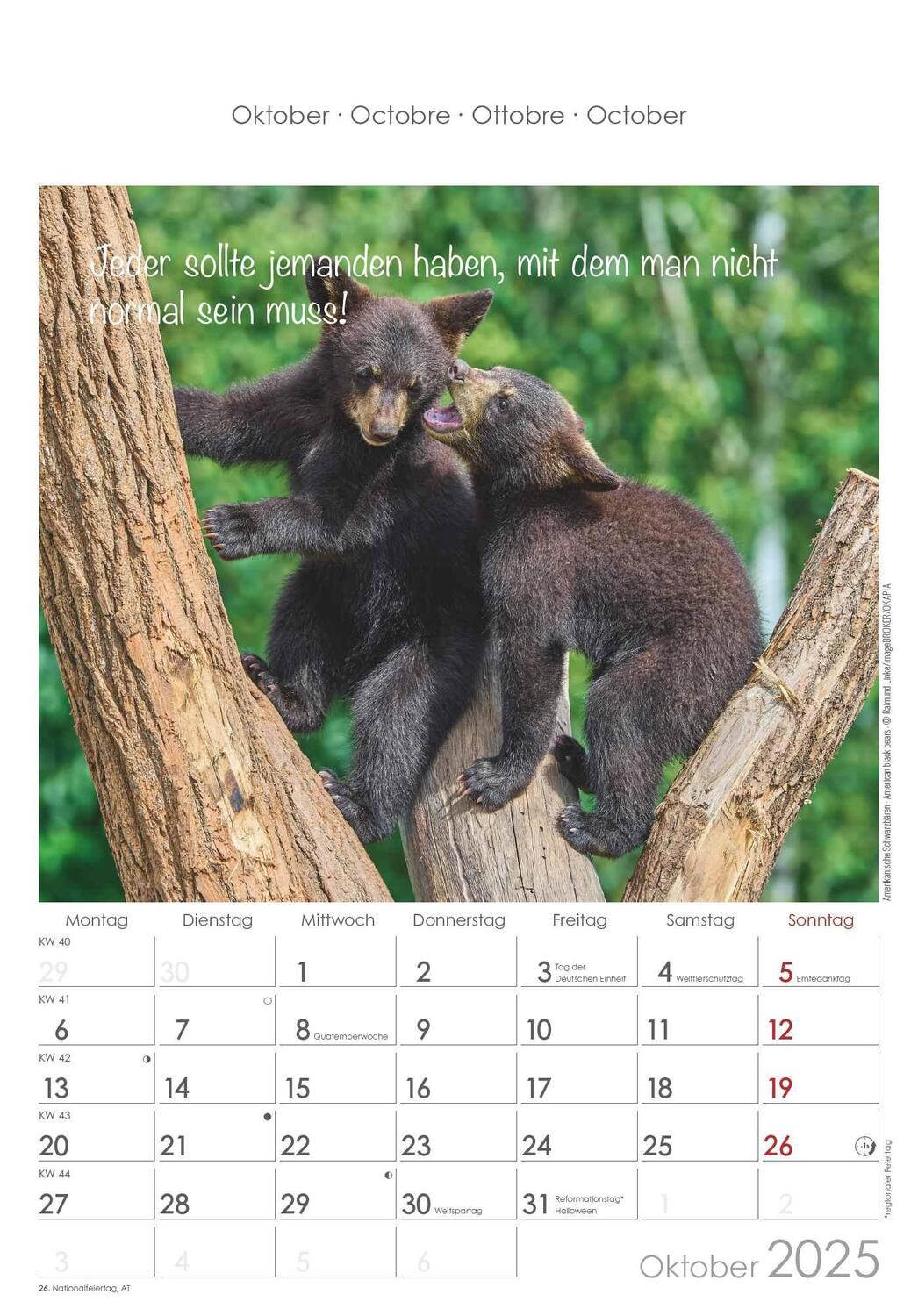 Bild: 4251732341039 | Kleine Freunde 2025 - Bildkalender 23,7x34 cm - Kalender mit Platz...