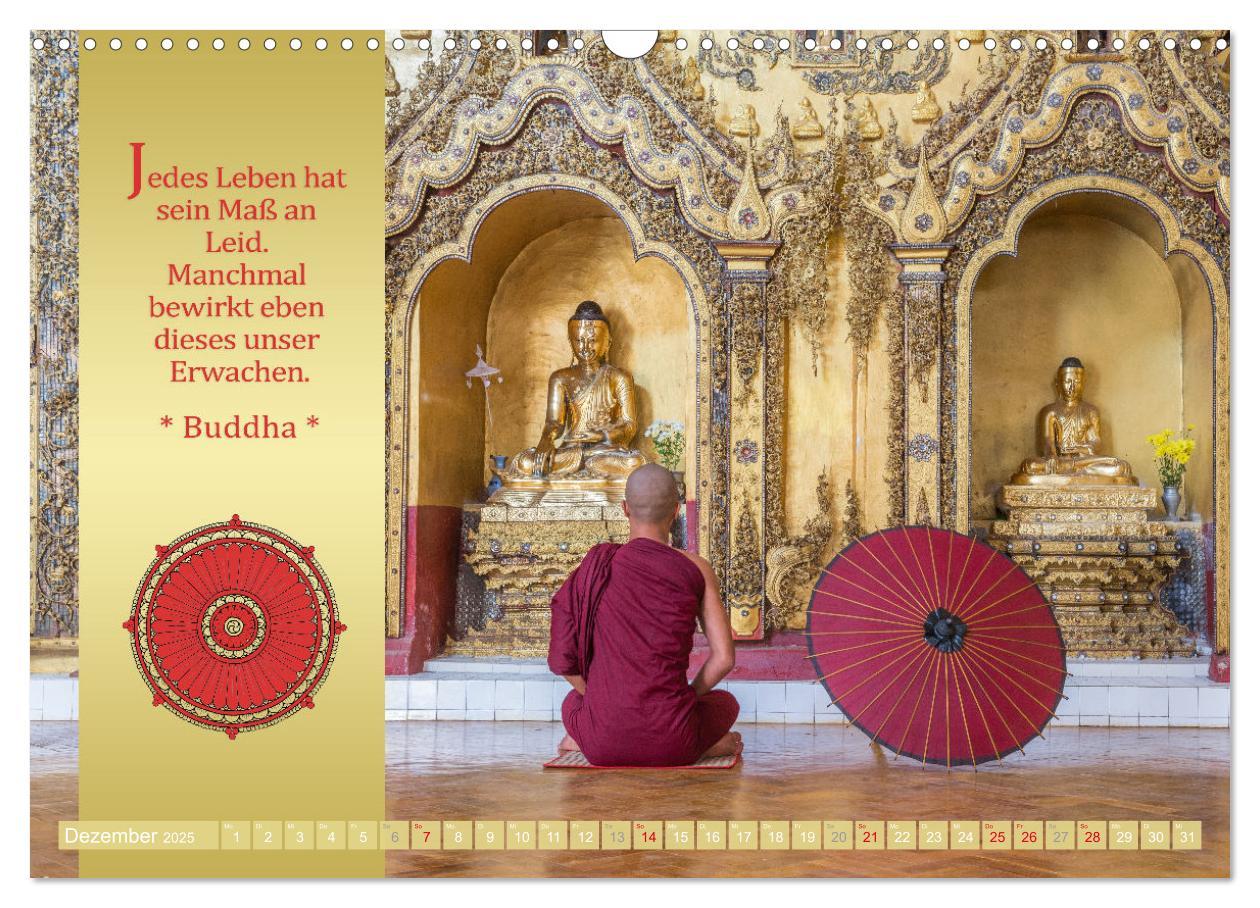 Bild: 9783435081394 | BUDDHAS WORTE - Buddhistische Weisheiten (Wandkalender 2025 DIN A3...