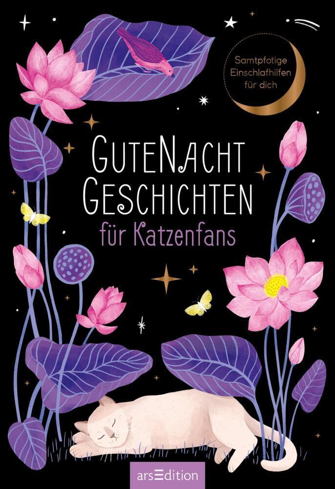 Bild: 9783845847511 | Gutenachtgeschichten für Katzenfans | Buch | 80 S. | Deutsch | 2022