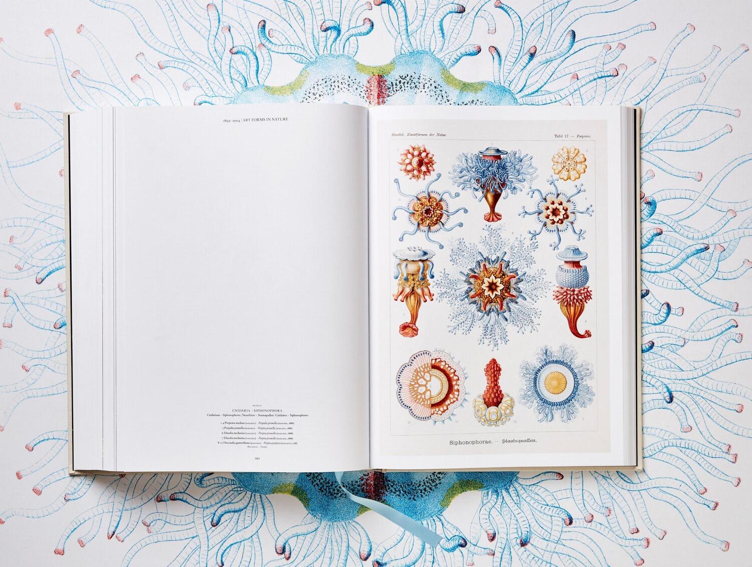 Bild: 9783836526463 | The Art and Science of Ernst Haeckel | Julia Voss (u. a.) | Buch