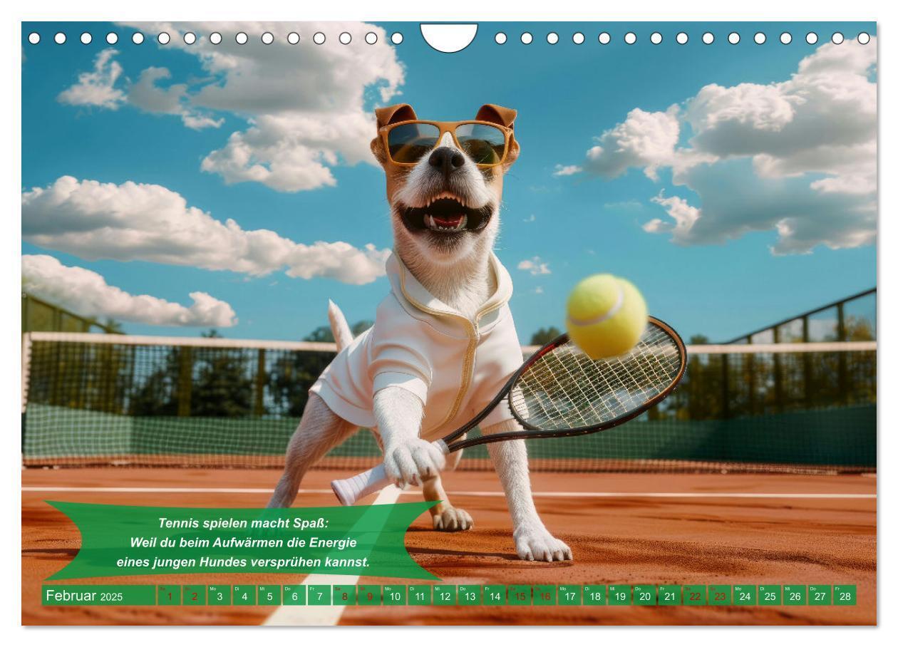 Bild: 9783457180488 | Der tierisch lustige Tennis-Kalender (Wandkalender 2025 DIN A4...