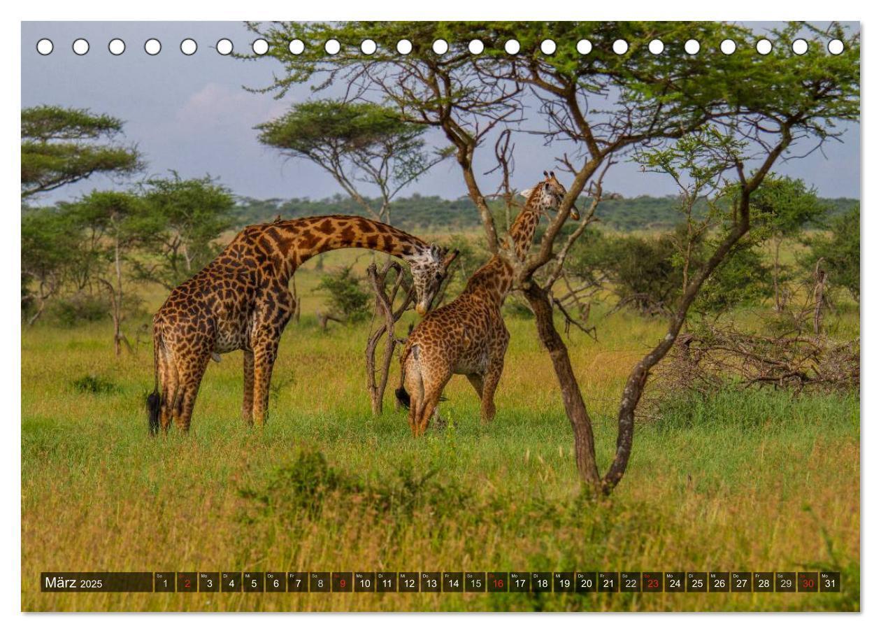 Bild: 9783435806713 | Abenteuer Tansania, Afrika (Tischkalender 2025 DIN A5 quer),...