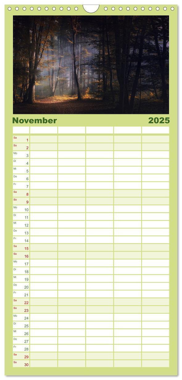 Bild: 9783457117453 | Familienplaner 2025 - Mysterium Wald mit 5 Spalten (Wandkalender,...