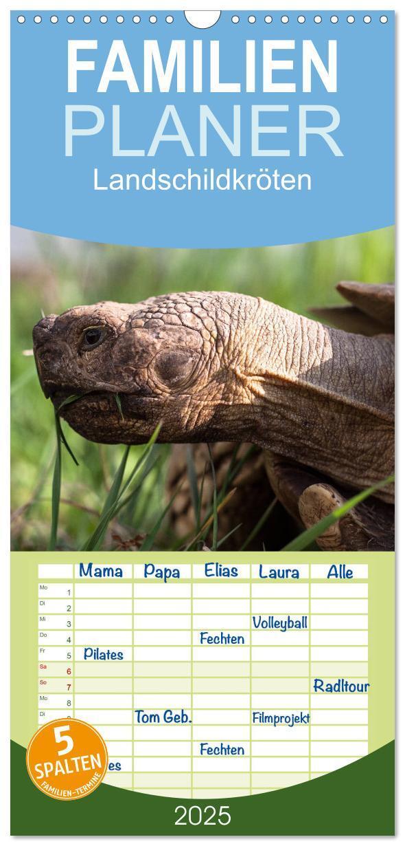 Cover: 9783457122938 | Familienplaner 2025 - Landschildkröten mit 5 Spalten (Wandkalender,...