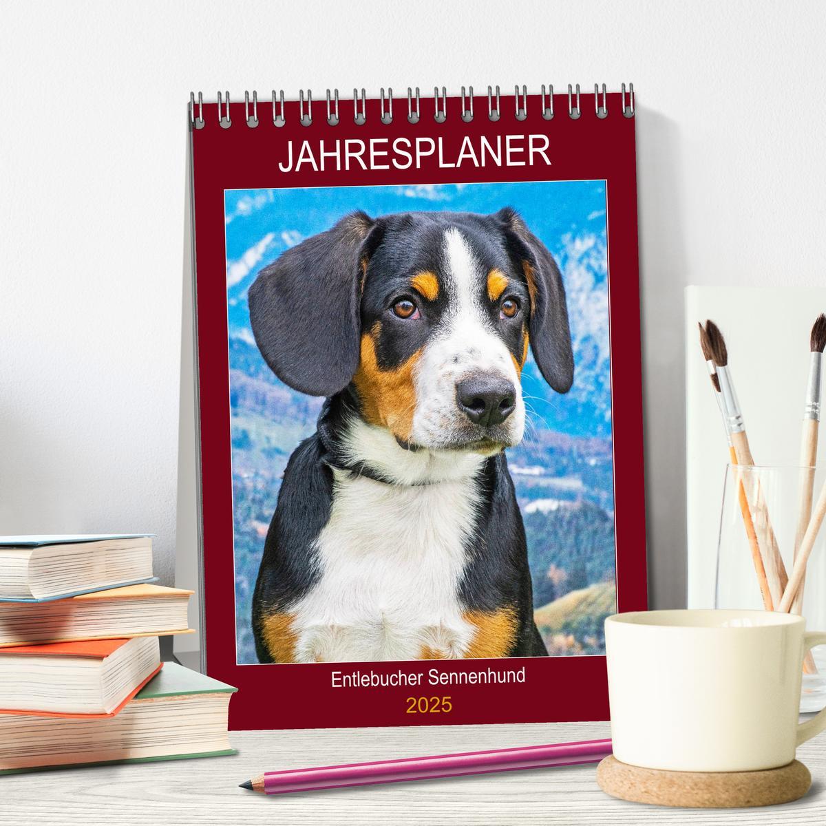 Bild: 9783435944408 | Jahresplaner Entlebucher Sennenhund (Tischkalender 2025 DIN A5...