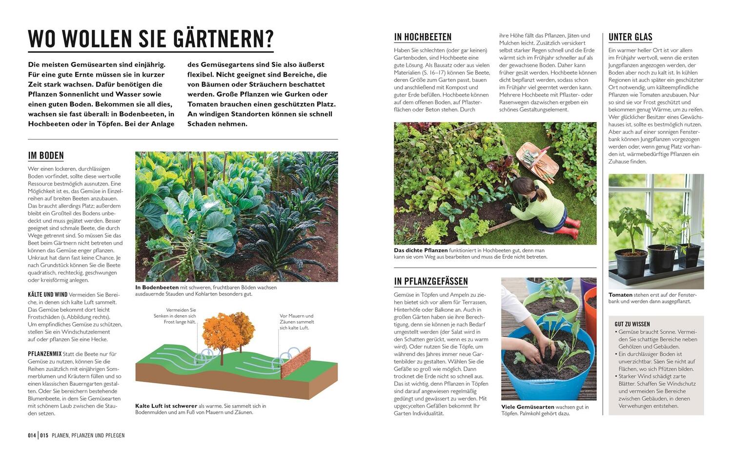 Bild: 9783831043941 | Grünes Gartenwissen. Gemüse anbauen | Jo Whittingham | Taschenbuch