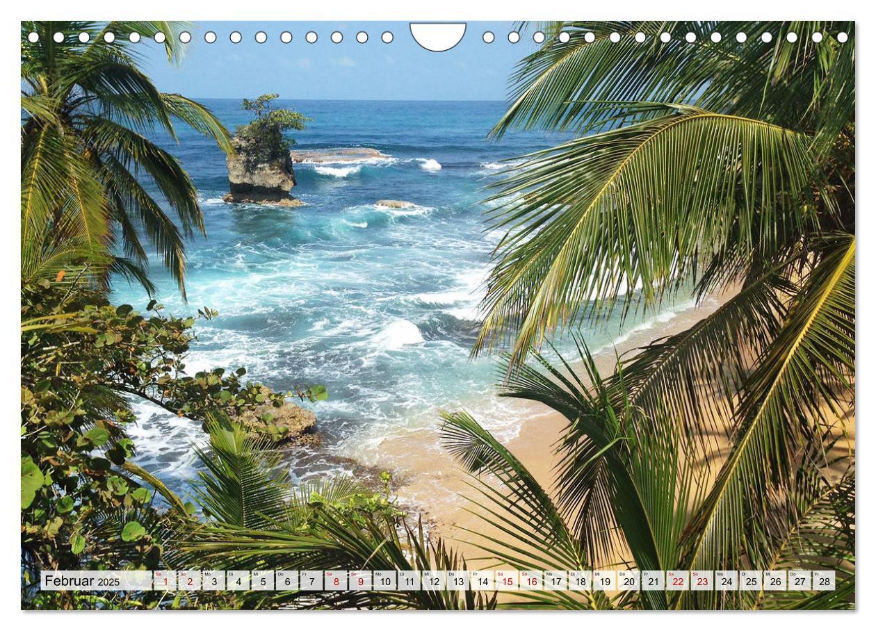 Bild: 9783435307012 | Costa Rica - Lebensfreude pur (Wandkalender 2025 DIN A4 quer),...