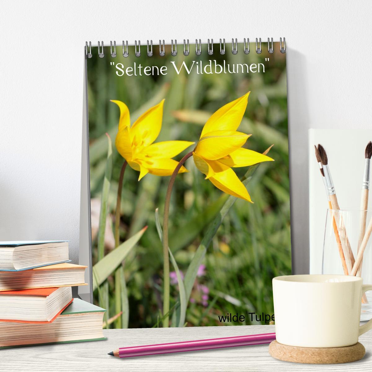 Bild: 9783457063743 | Seltene Wildblumen (Tischkalender 2025 DIN A5 hoch), CALVENDO...