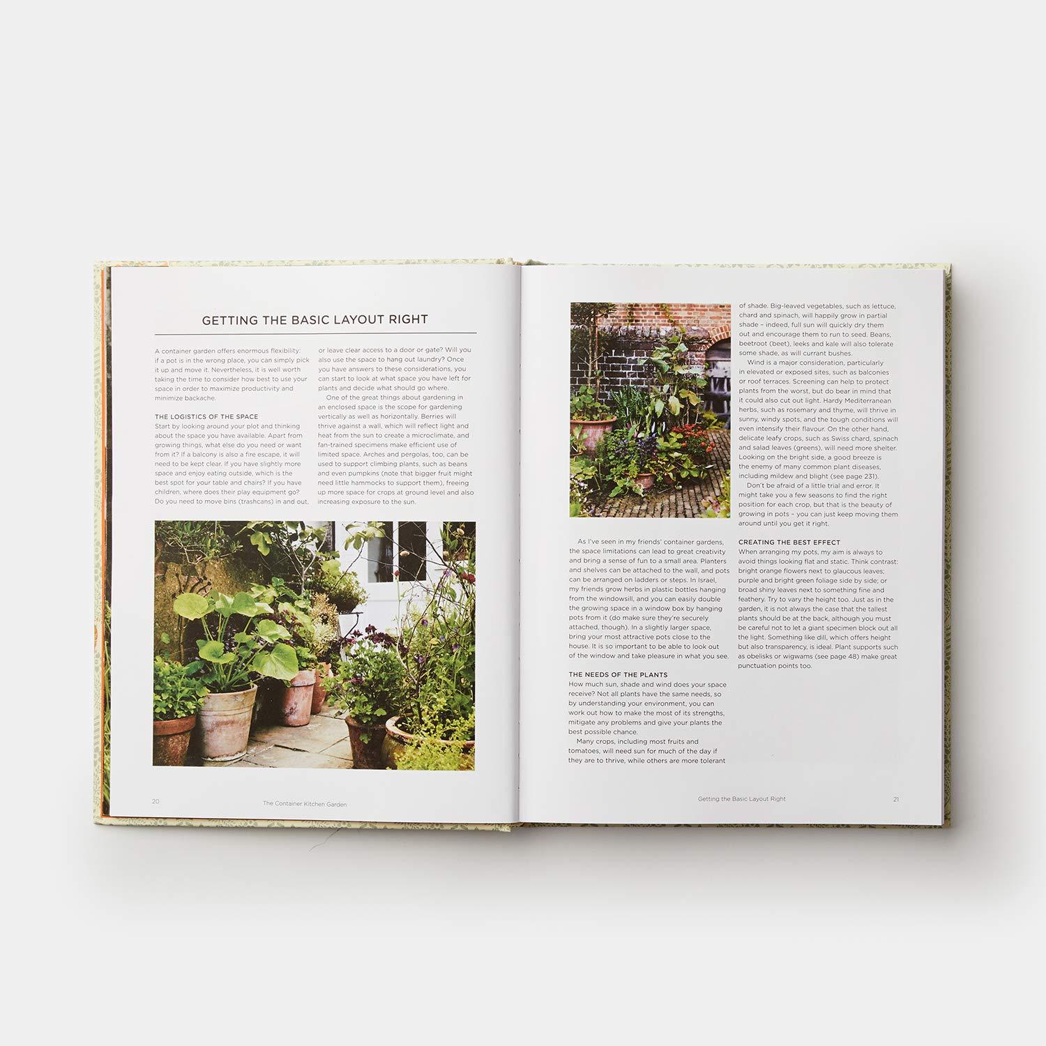 Bild: 9780714878614 | Grow Fruit &amp; Vegetables in Pots | Aaron Bertelsen | Buch | 240 S.