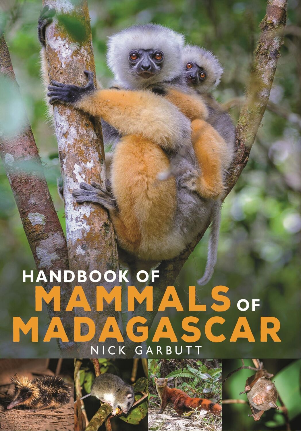 Cover: 9781472985934 | Handbook of Mammals of Madagascar | Nick Garbutt | Buch | Gebunden