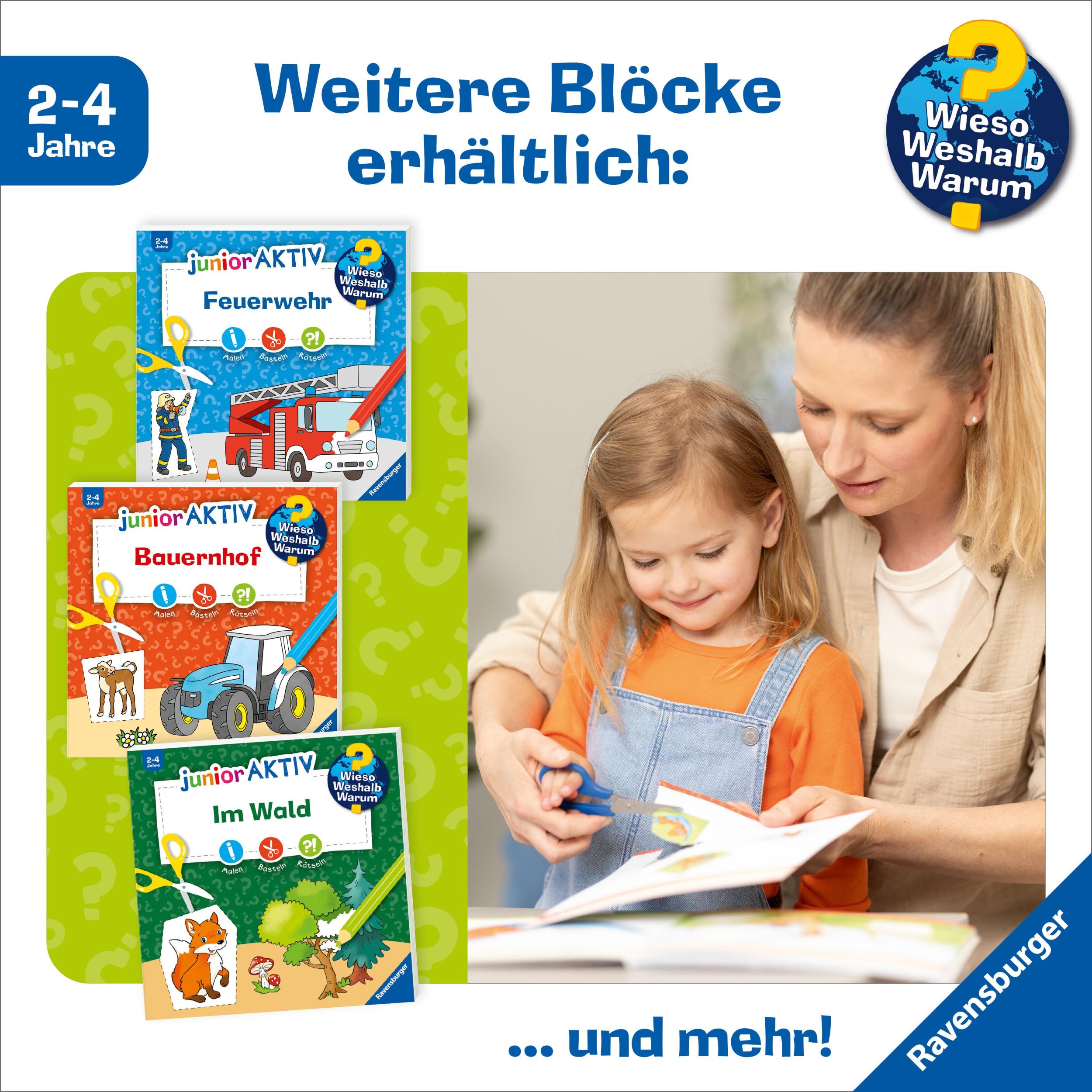 Bild: 9783473600380 | Wieso? Weshalb? Warum? junior AKTIV: Am Meer | Yousun Koh | Buch