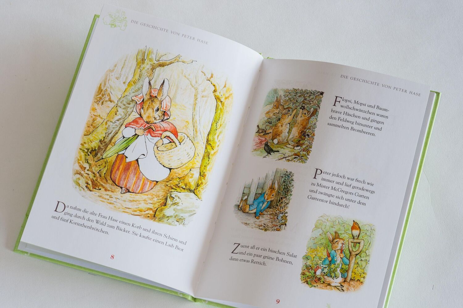 Bild: 9783730607169 | Peter Hase und Benjamin Häschen | Beatrix Potter | Buch | 32 S. | 2019