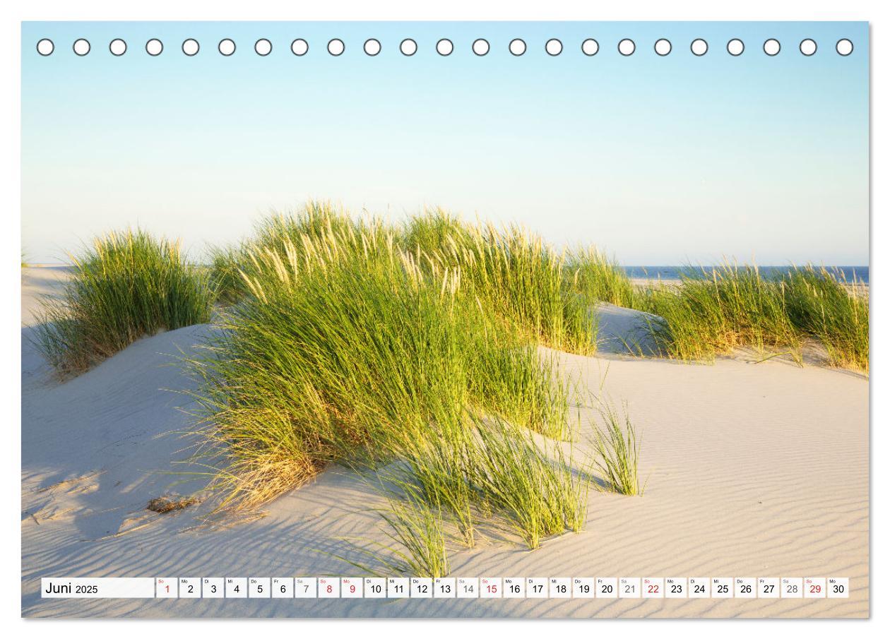 Bild: 9783435618019 | Amrum. Natur und Landschaften (Tischkalender 2025 DIN A5 quer),...