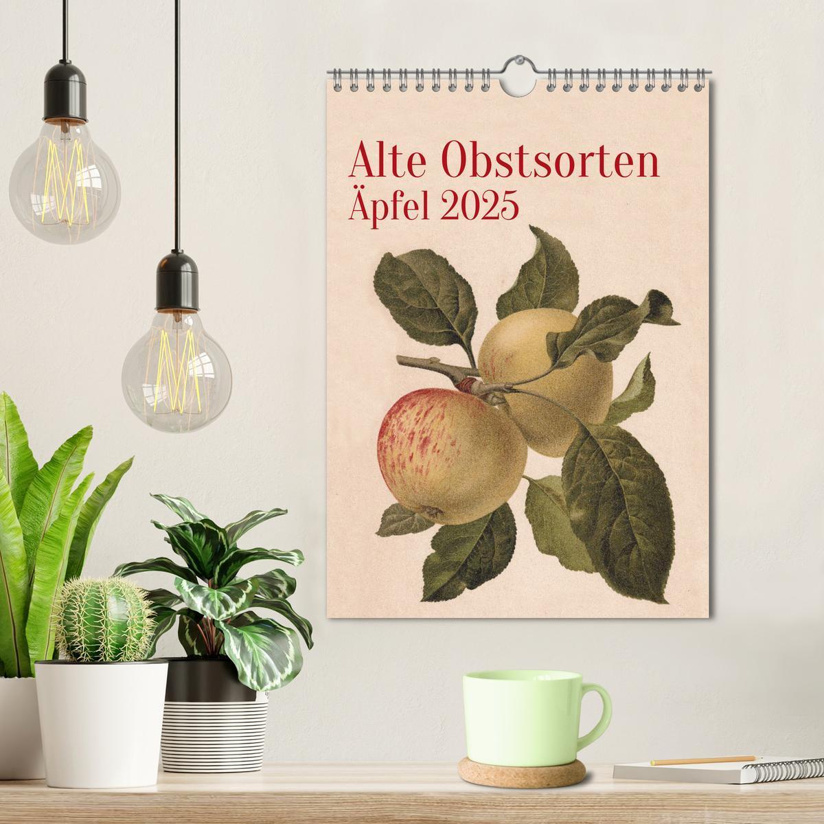 Bild: 9783457204382 | Alte Obstsorten - Äpfel 2025 (Wandkalender 2025 DIN A4 hoch),...