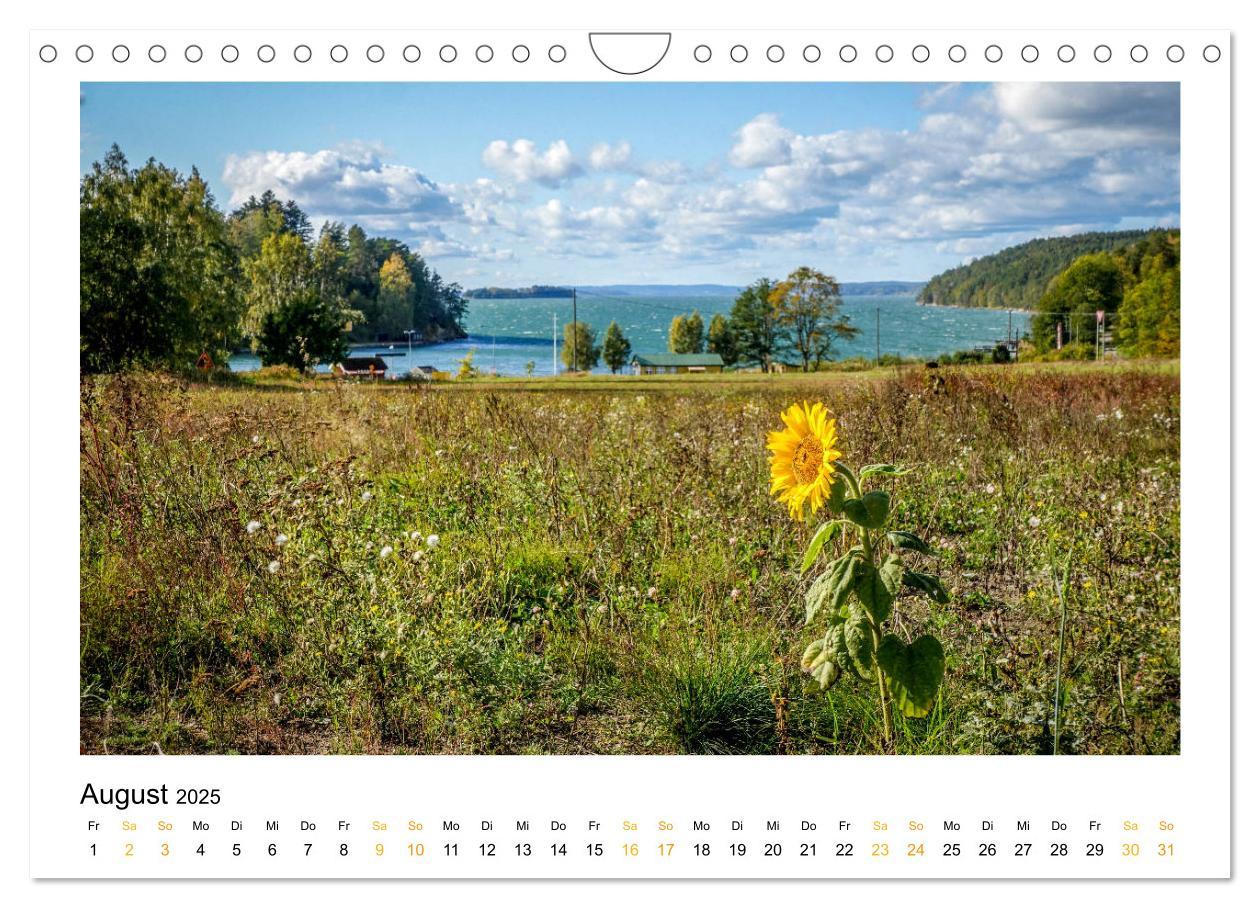 Bild: 9783435152896 | Fernweh Ostsee (Wandkalender 2025 DIN A4 quer), CALVENDO...