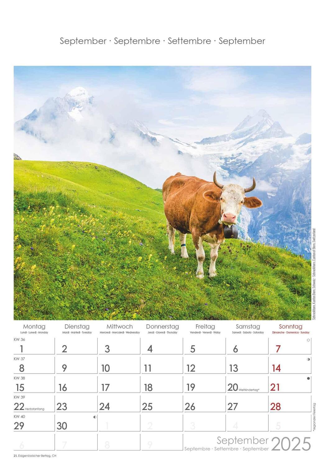 Bild: 4251732341091 | Alpen 2025 - Bild-Kalender 23,7x34 cm - The Alps - Wandkalender -...