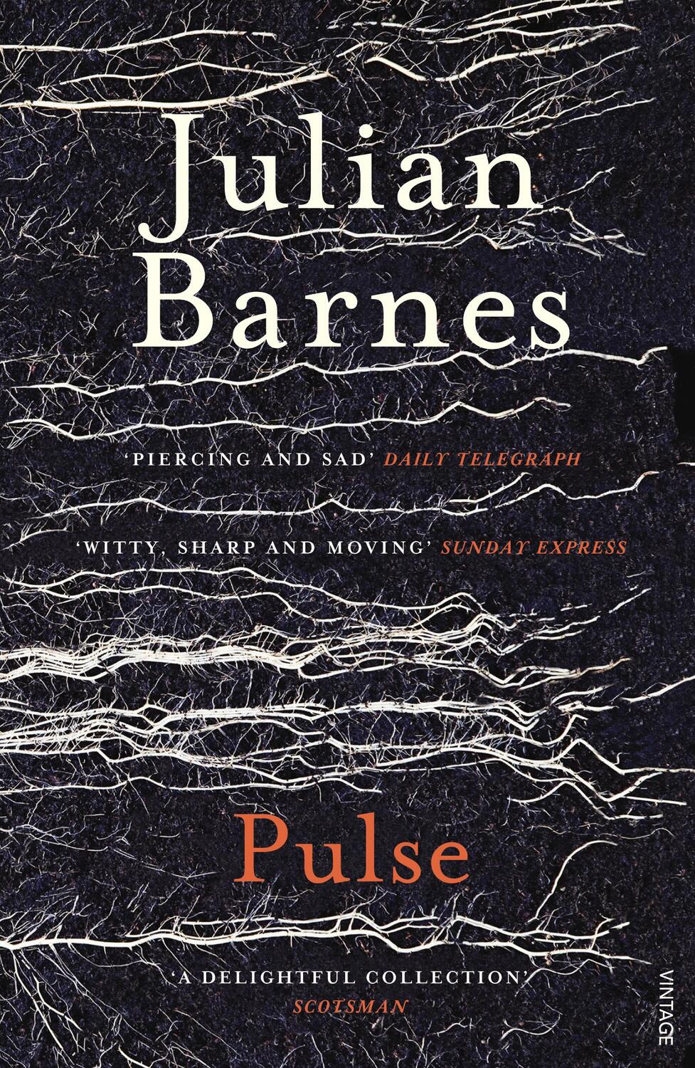 Cover: 9780099552475 | Pulse | Julian Barnes | Taschenbuch | Englisch | 2011