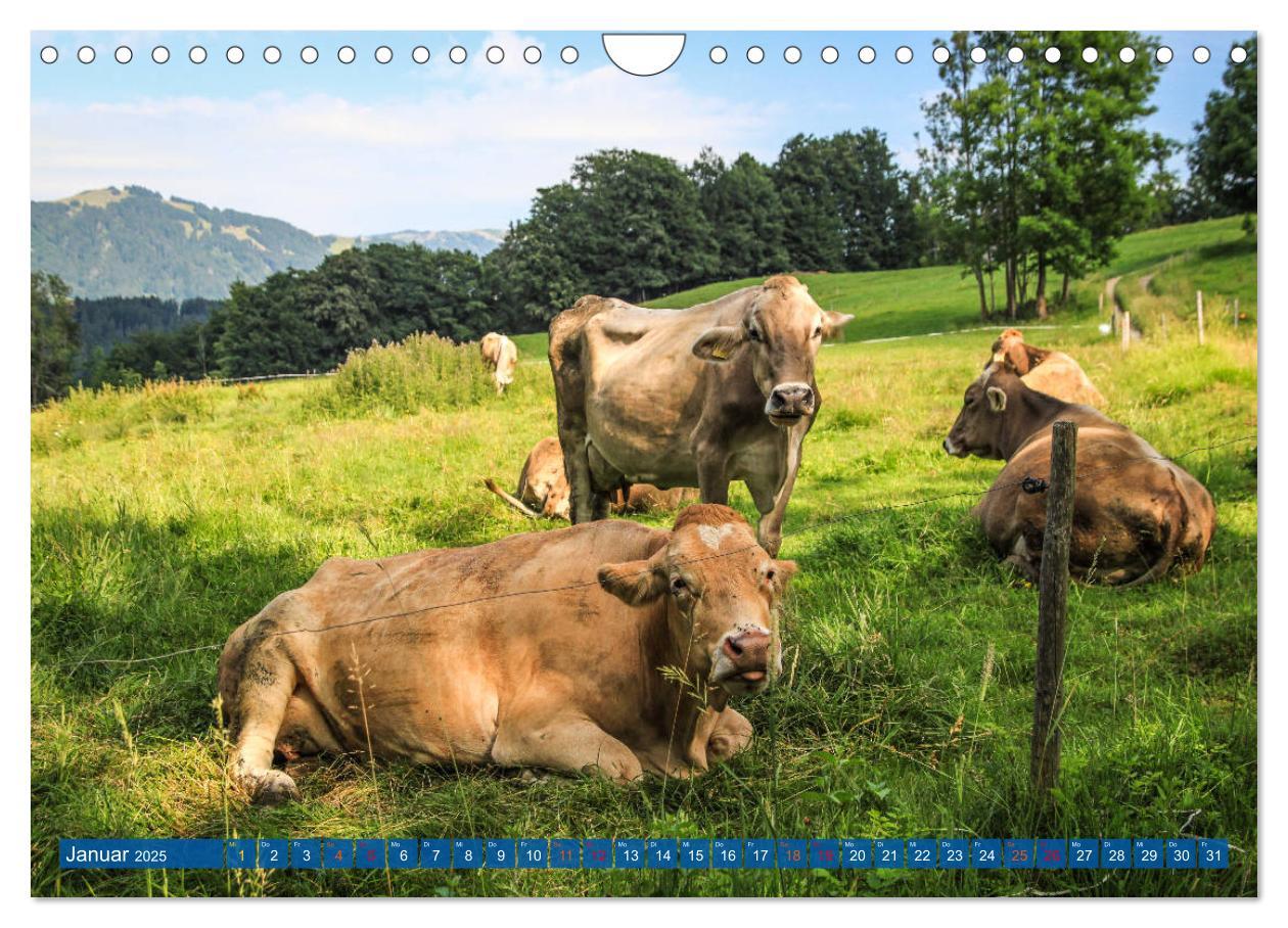 Bild: 9783435192762 | Allgäu - Perle im Süden (Wandkalender 2025 DIN A4 quer), CALVENDO...