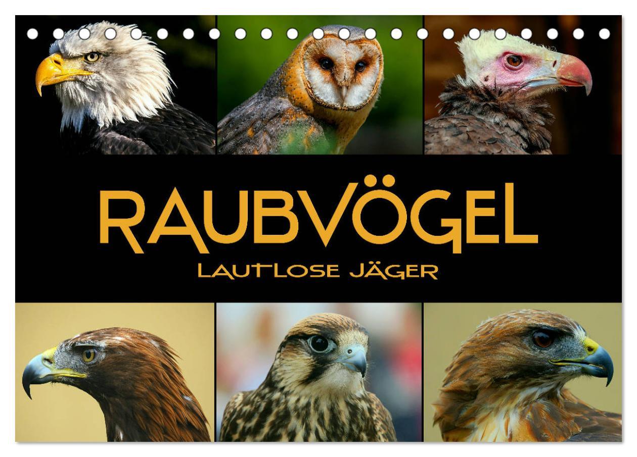 Cover: 9783435349319 | Raubvögel - lautlose Jäger (Tischkalender 2025 DIN A5 quer),...