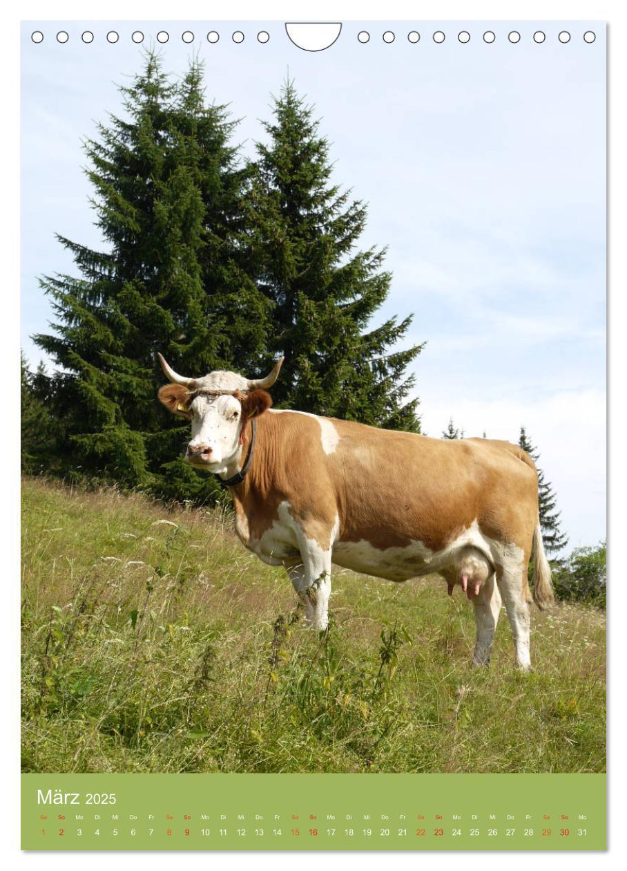 Bild: 9783457027752 | Schwarzwald und Kühe im Hochformat (Wandkalender 2025 DIN A4 hoch),...