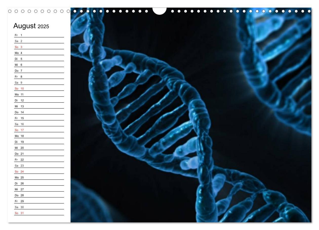 Bild: 9783435483372 | Mikrobiologie. Mikroorganismen, Genetik und Zellen (Wandkalender...