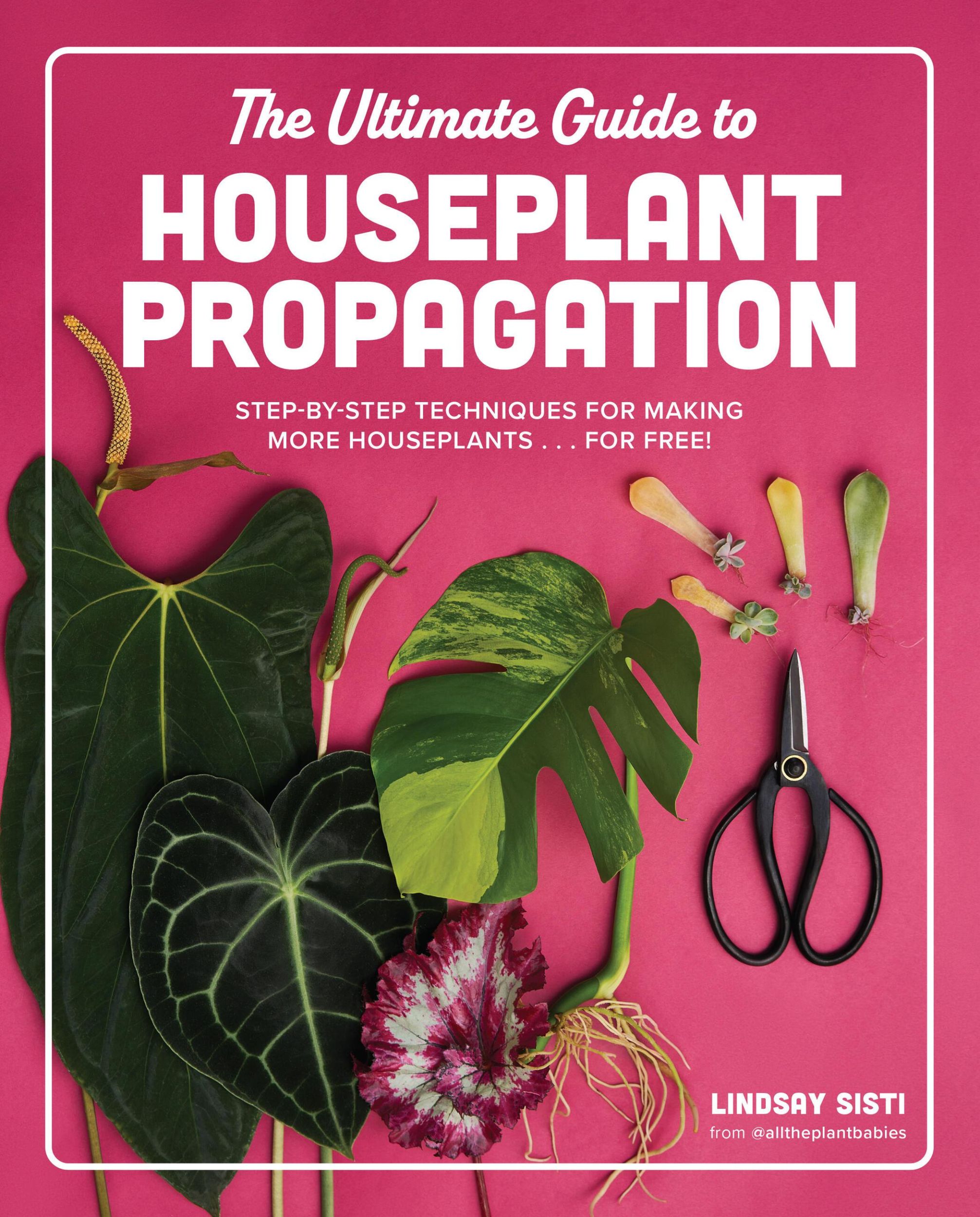 Cover: 9780760390405 | The Ultimate Guide to Houseplant Propagation | Lindsay Sisti | Buch