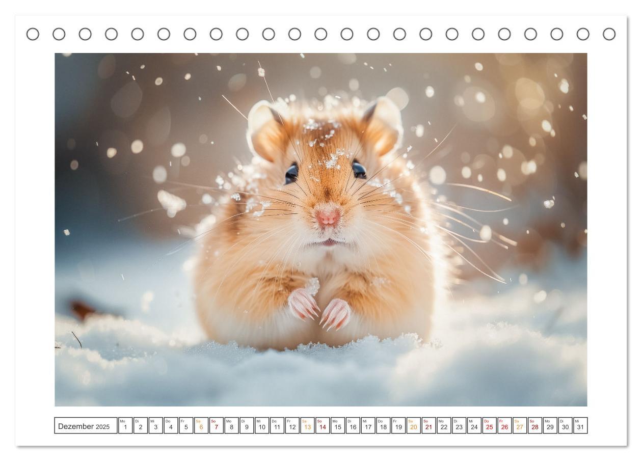 Bild: 9783435084876 | Lustige Hamster (Tischkalender 2025 DIN A5 quer), CALVENDO...