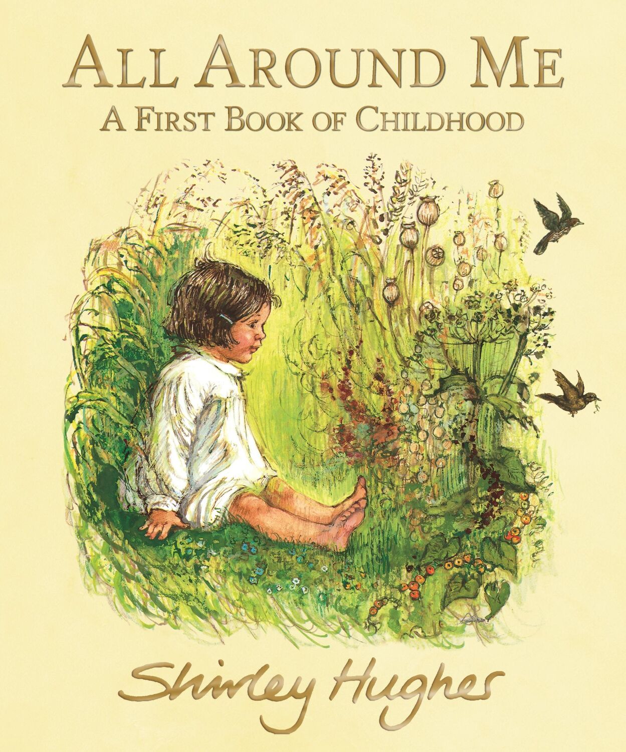 Cover: 9781406390308 | All Around Me; A First Book of Childhood | Shirley Hughes | Buch