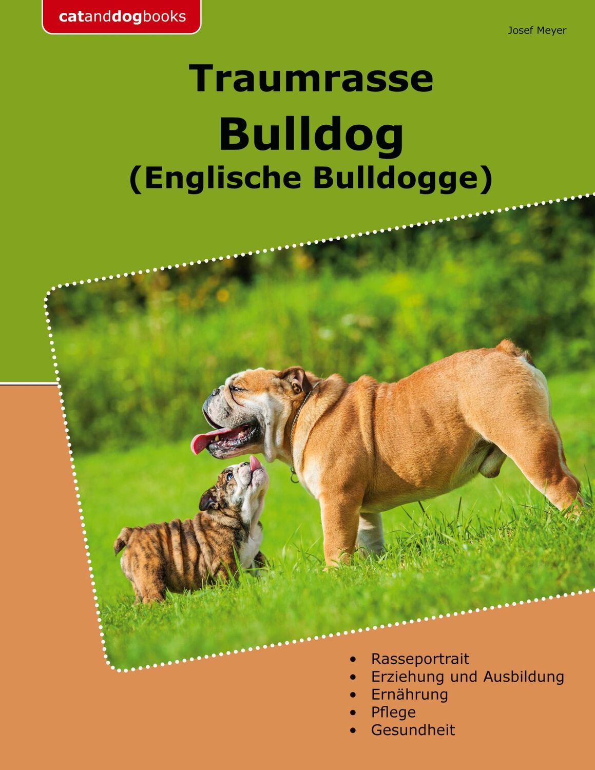 Cover: 9783759714794 | Traumrasse Bulldog | Englische Bulldogge | Josef Meyer | Taschenbuch