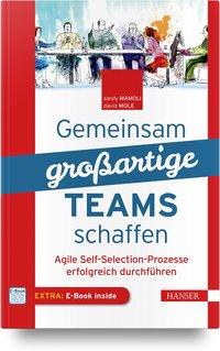 Cover: 9783446456730 | Gemeinsam großartige Teams schaffen | Sandy/Mole, David Mamoli | XVI