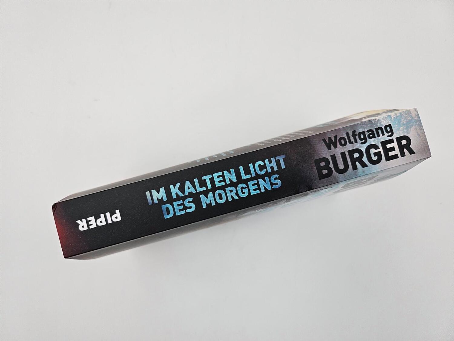 Bild: 9783492064408 | Im kalten Licht des Morgens | Wolfgang Burger | Taschenbuch | 368 S.