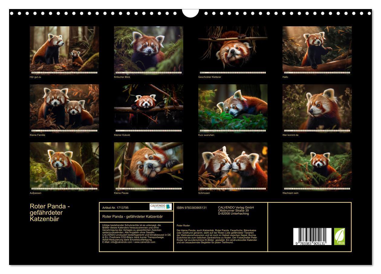 Bild: 9783383905131 | Roter Panda - gefährdeter Katzenbär (Wandkalender 2025 DIN A3...