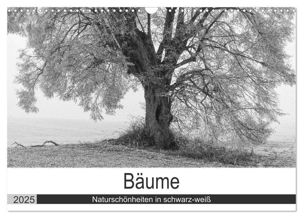 Cover: 9783435660469 | Bäume - Naturschönheiten in schwarz-weiß (Wandkalender 2025 DIN A3...