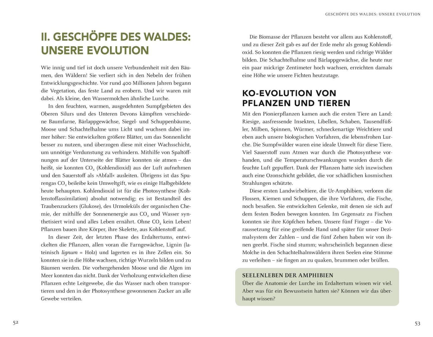 Bild: 9783833866692 | Wir sind Geschöpfe des Waldes | Wolf-Dieter Storl | Buch | 368 S.