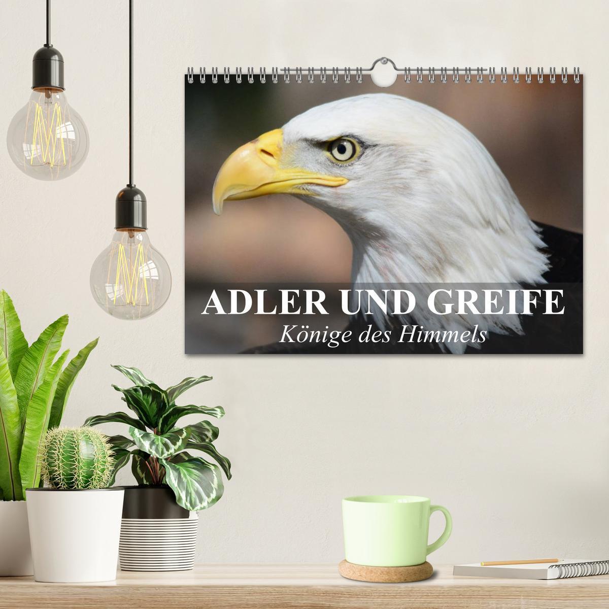 Bild: 9783435651191 | Adler und Greife - Könige des Himmels (Wandkalender 2025 DIN A4...