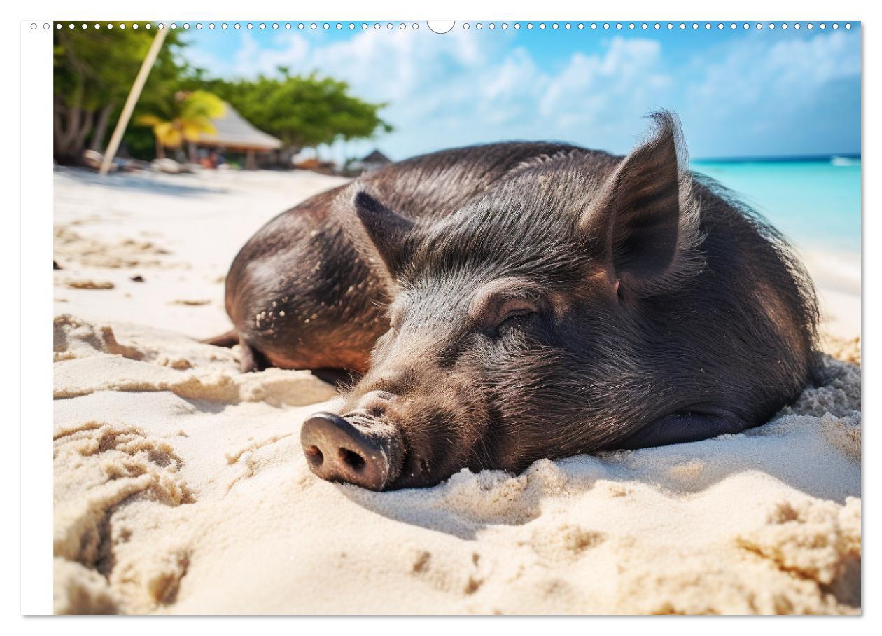 Bild: 9783383834387 | Schweinereien in der Karibik. Sonne und Spaß mit schwimmenden...