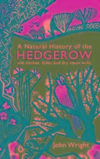 Cover: 9781846685538 | A Natural History of the Hedgerow | John Wright | Taschenbuch | 2017