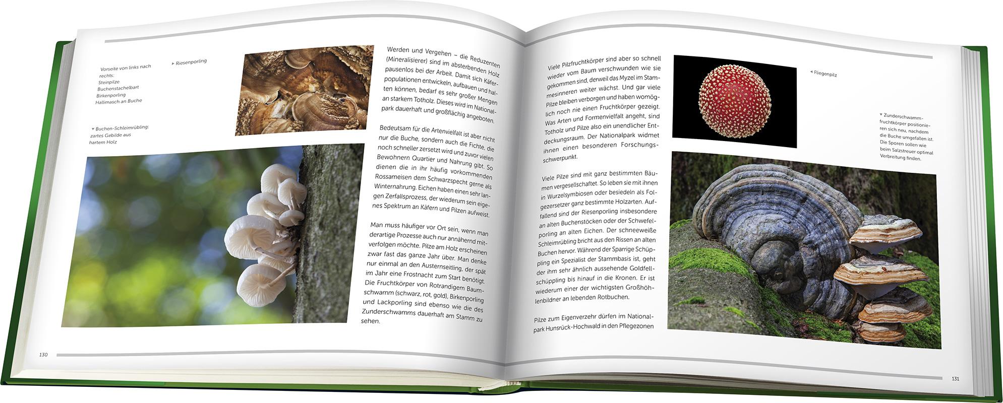 Bild: 9783943969184 | Nationalpark Hunsrück-Hochwald | Konrad Funk | Buch | 192 S. | Deutsch