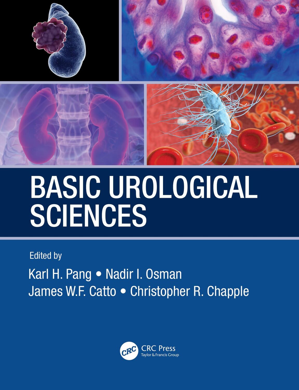 Cover: 9780367202187 | Basic Urological Sciences | Christopher Chapple (u. a.) | Taschenbuch