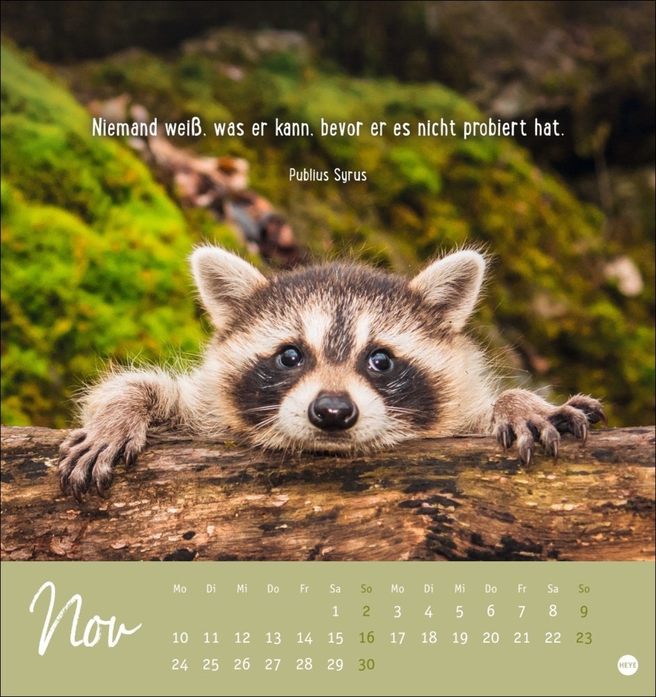 Bild: 9783756407132 | Never give up! Postkartenkalender 2025 | Kalender | Spiralbindung