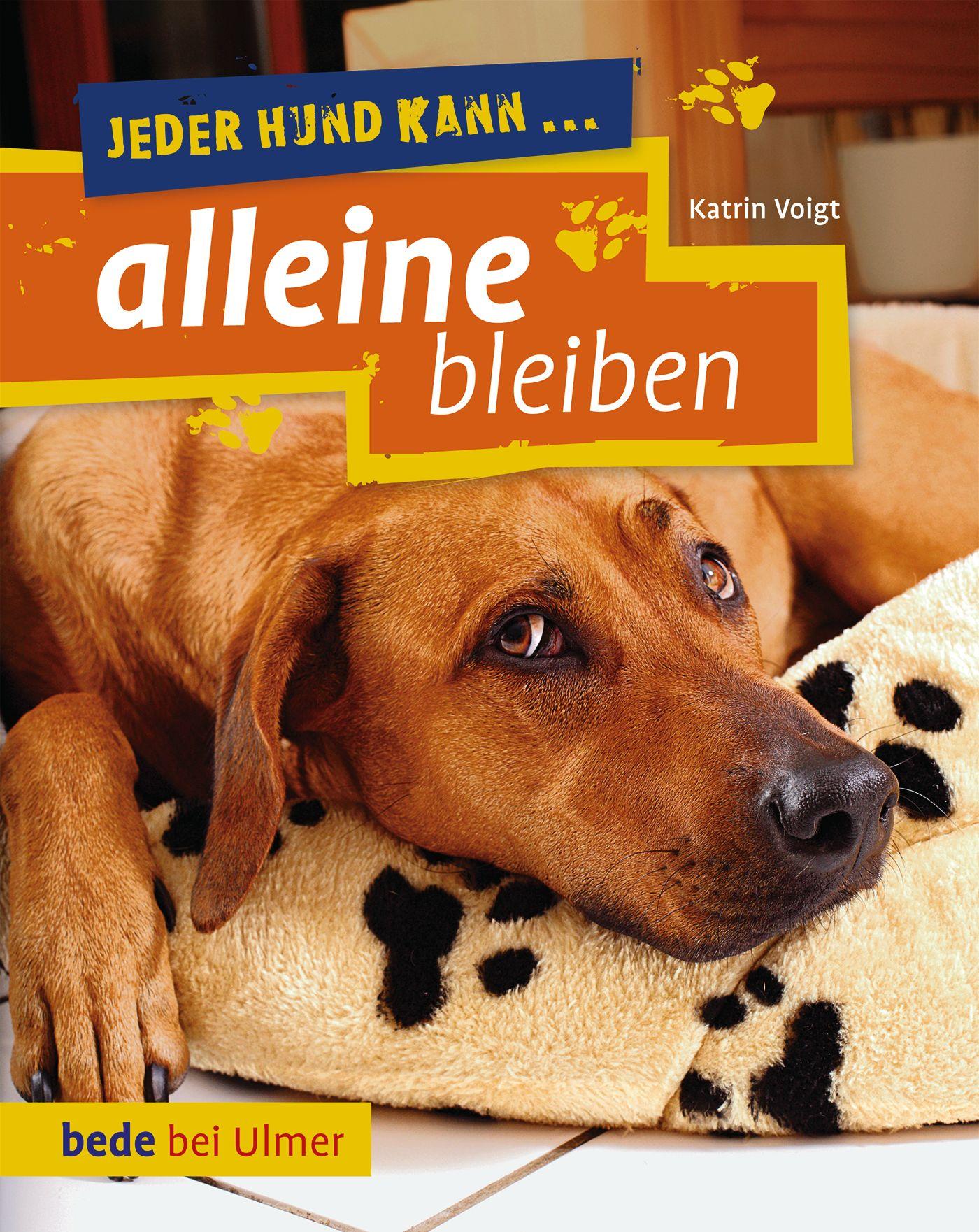 Cover: 9783800178551 | Jeder Hund kann alleine bleiben | Keine Angst vor dem Alleinsein