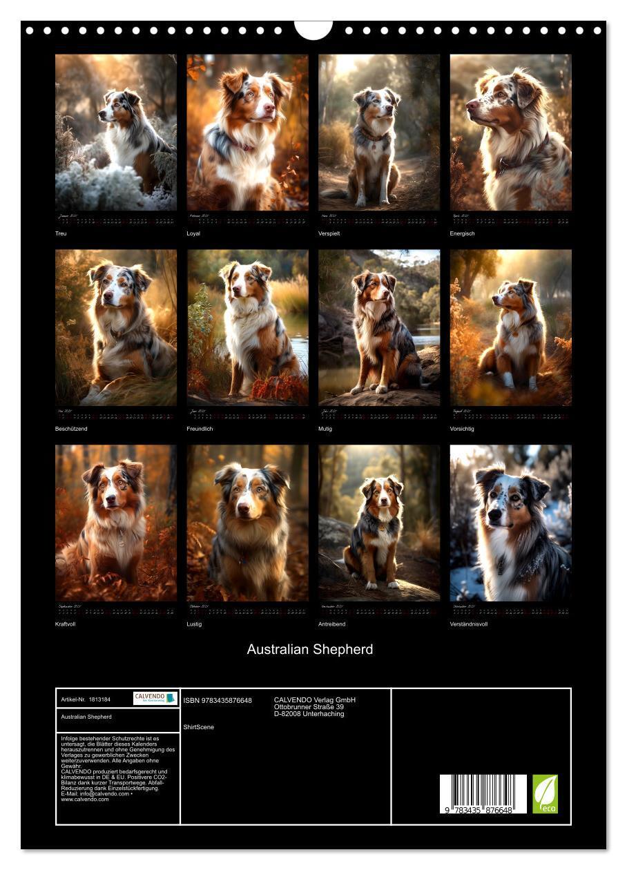 Bild: 9783435876648 | Australian Shepherd (Wandkalender 2025 DIN A3 hoch), CALVENDO...