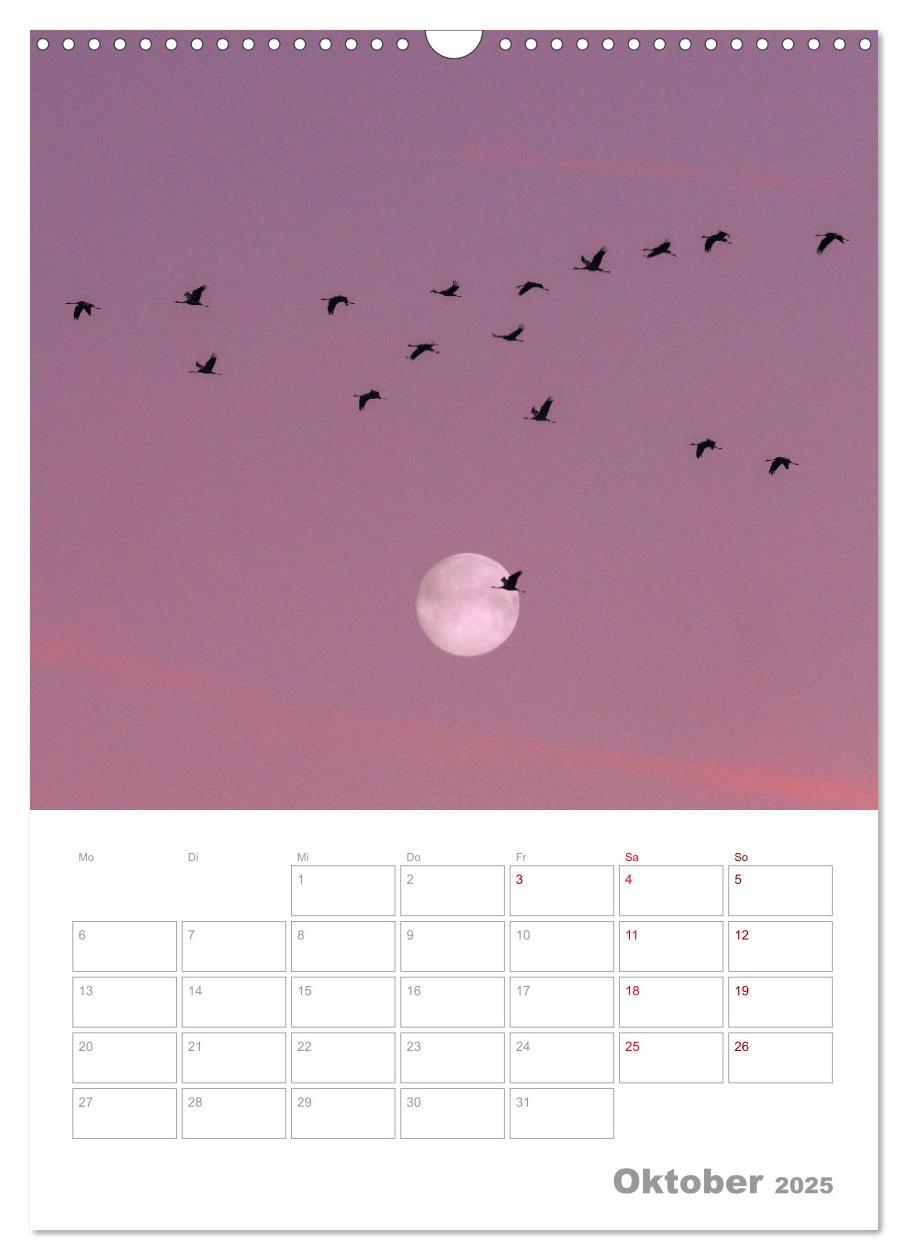 Bild: 9783435924219 | VOLLMOND-Planer - Im Licht der Nacht (Wandkalender 2025 DIN A3...