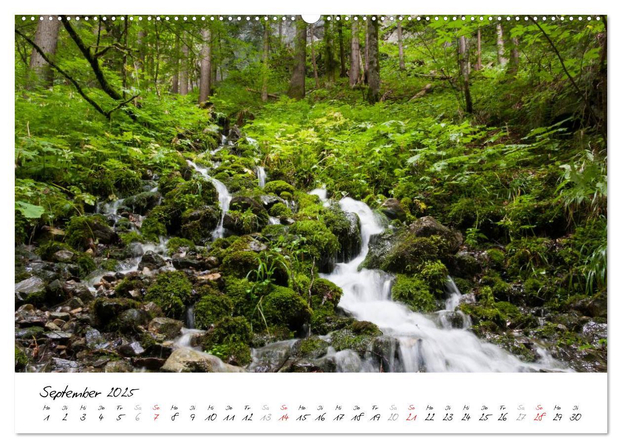 Bild: 9783435629565 | Oberallgäuer Landschaft (Wandkalender 2025 DIN A2 quer), CALVENDO...