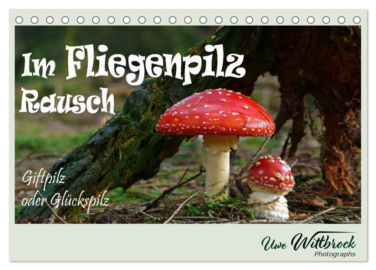 Cover: 9783383921834 | Im Fliegenpilz Rausch (Tischkalender 2025 DIN A5 quer), CALVENDO...