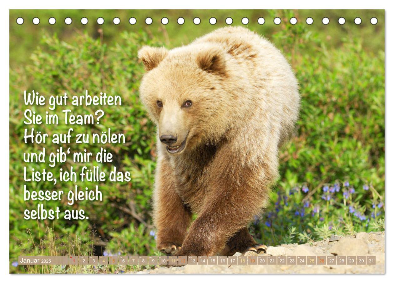 Bild: 9783383881855 | Spaß mit Bären: Edition lustige Tiere (Tischkalender 2025 DIN A5...